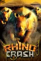 Rhino Crash